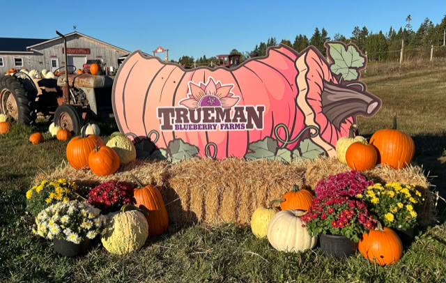 A large sign with a pumpkin design and the text "Trueman Blueberry Farms" is surrounded by hay bales, pumpkins, and colorful flowers. A tractor is visible in the background.