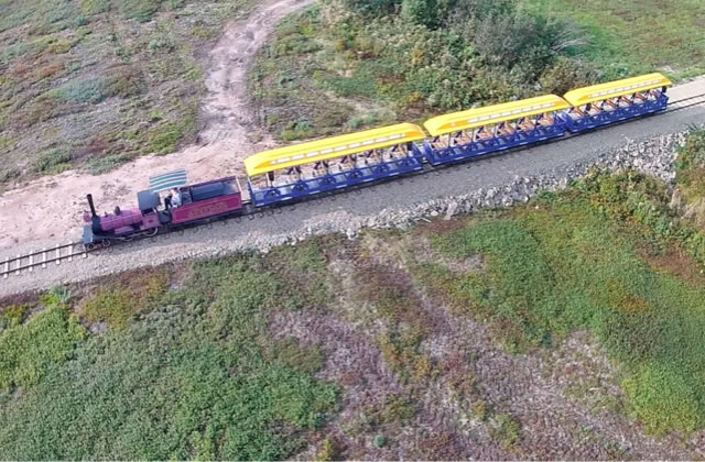 Aerial view of a train with a red locomotive and yellow passenger cars traveling on a track through a grassy landscape.