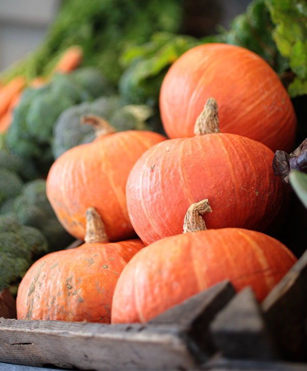 Pumpkin U-Pick - Truemans Farms Pumpkin U-Pick - Truemans Farms