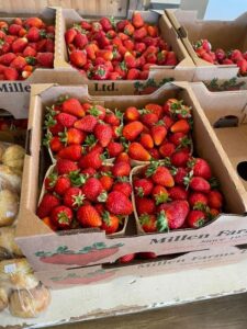 Trueman Fresh Strawberries
