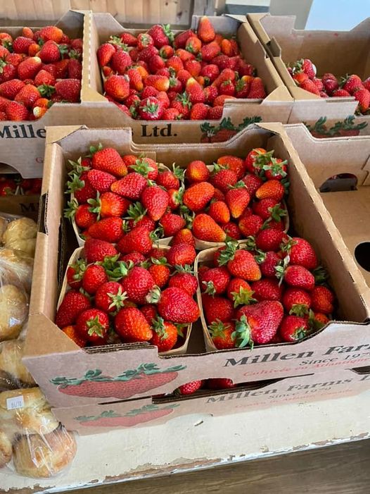 Trueman Fresh Strawberries 2022