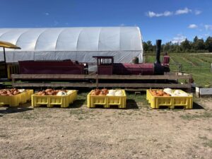 Pumpkin Season October 2022