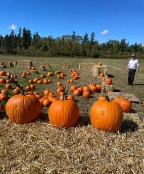 Pumpkin Season October 2022