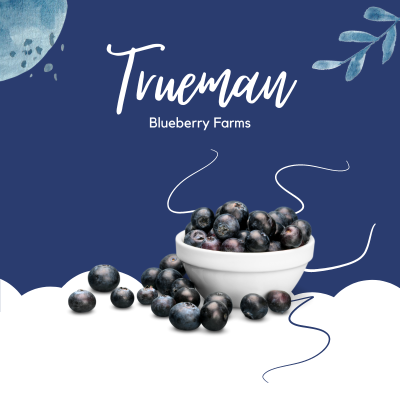 Trueman Blueberry Farms