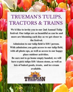 tulip_festival_2023_tractors_trains