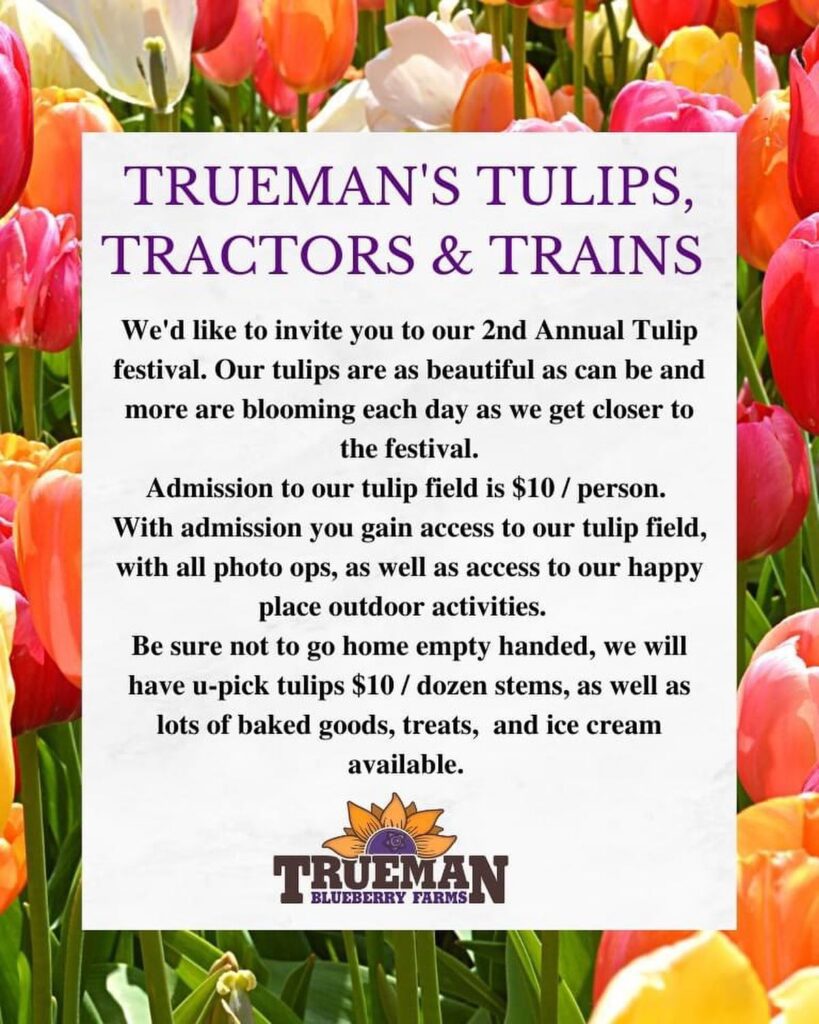 Tulip Festival 2023 Tractors & Trains