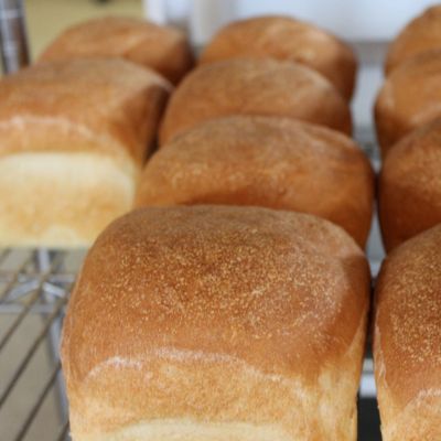 Trueman Blueberry Farms Homemade Bread