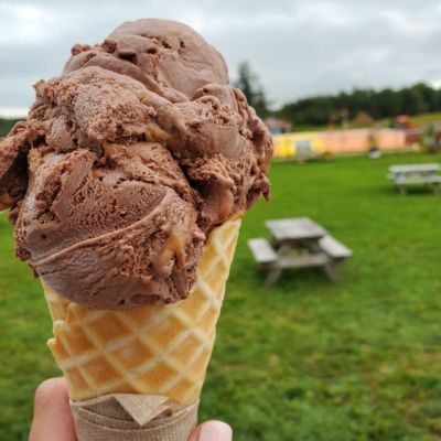 Trueman Blueberry Farms Ice Cream 