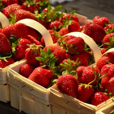 Trueman Blueberry Farms Strawberries