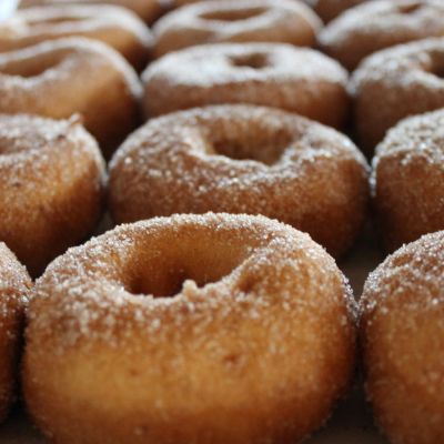 Trueman Blueberry Farms Donuts