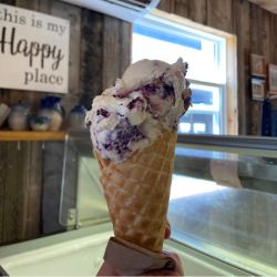 Trueman Blueberry Farms - Icecream