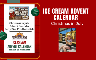 Ice Cream Advent Calendar
