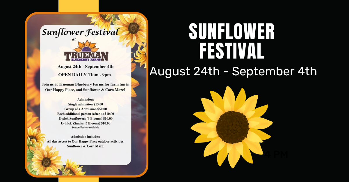 Sunflower Festival 2023 - Trueman Blueberry Farms