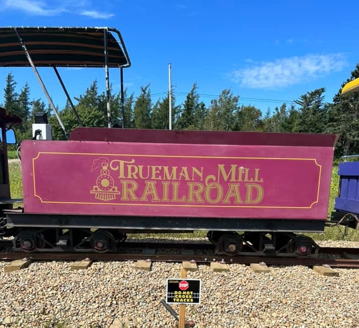 Truemans Blueberry Farms Train