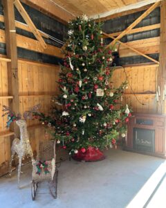 Christmas 2023 at Trueman Blueberry farms