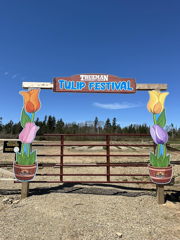 Tulip Festival Gate
