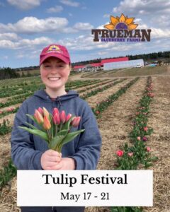 Tulip Festival holding Tulips 2024