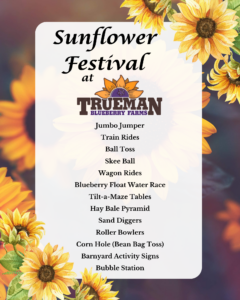 Sunflower festival Info 3 2024