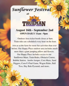 Sunflower festival info 2 2024