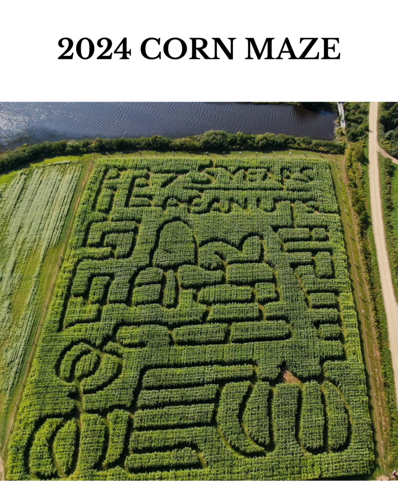 Peanuts Corn Maze 2024