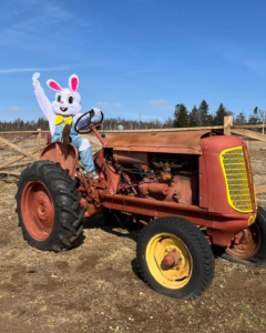 Easter Holidays at Trueman