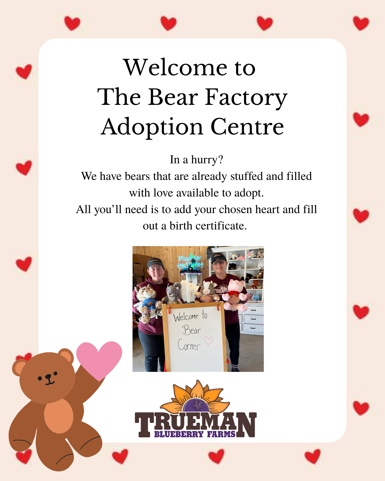 Bear factory.zip - adoption centre