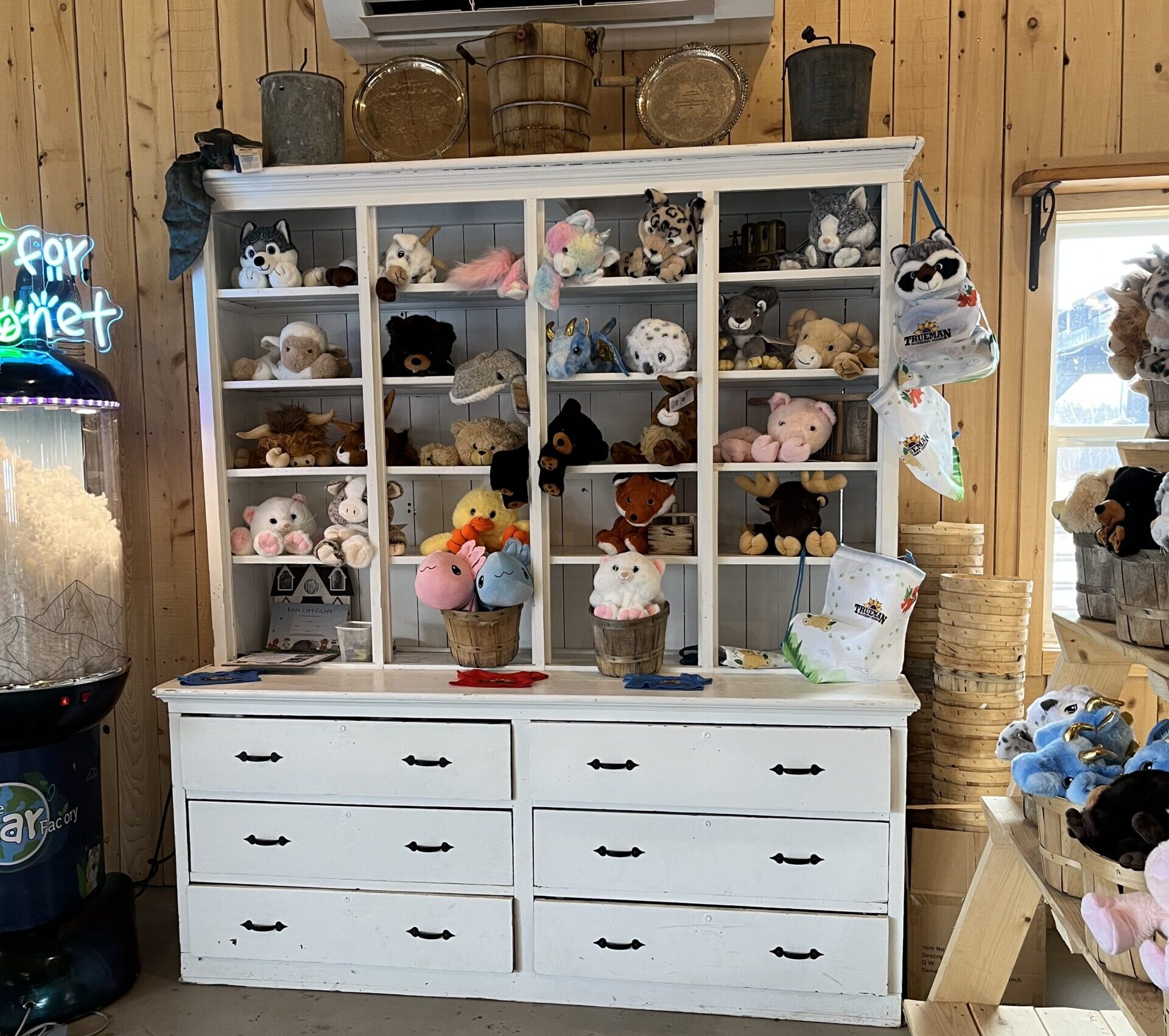 bear stand Trueman Blueberry Farms