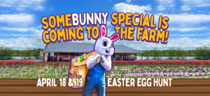 easter image