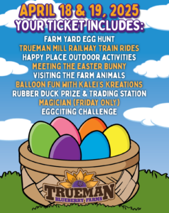ticket includes