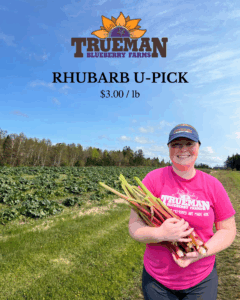 Rhubarb U-pick